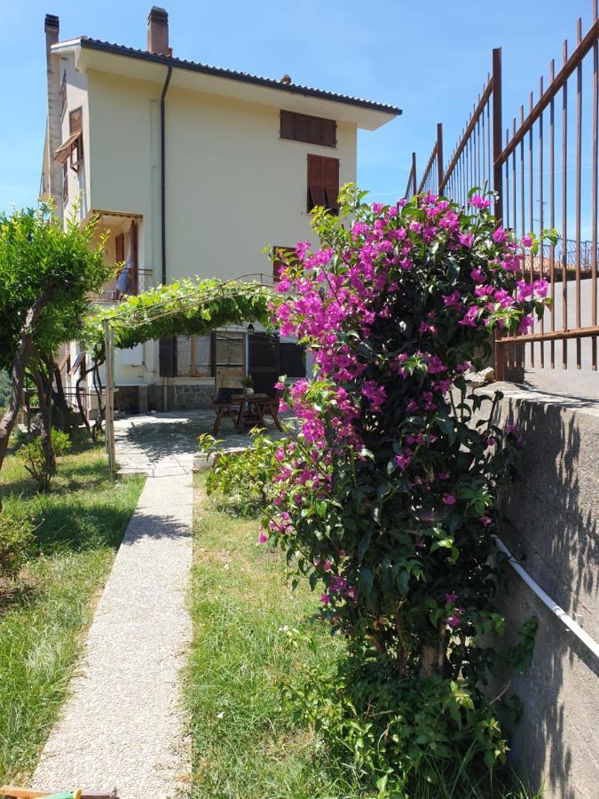 卡萨察利古勒La Casa Dei Limoni公寓 外观 照片